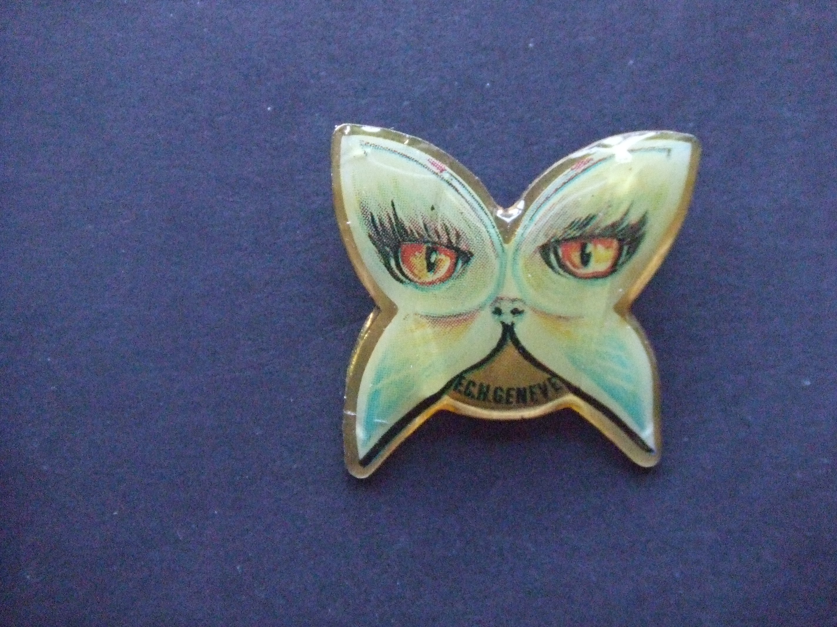 E.C.H. Genève logo poes onbekend